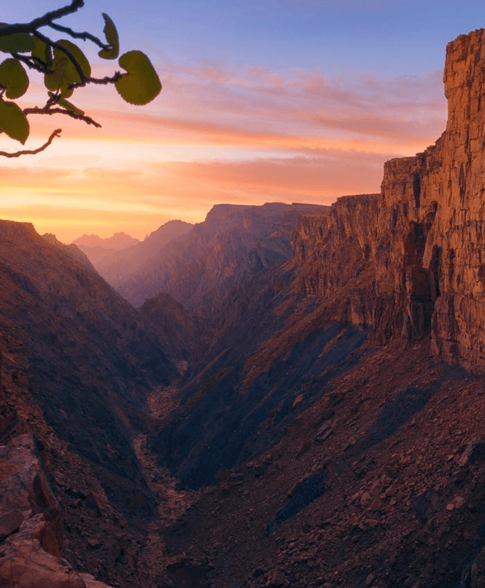 Saudi Arabia landscape