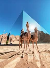 Nature Meeting - Travel experience in Saudi Arabia
