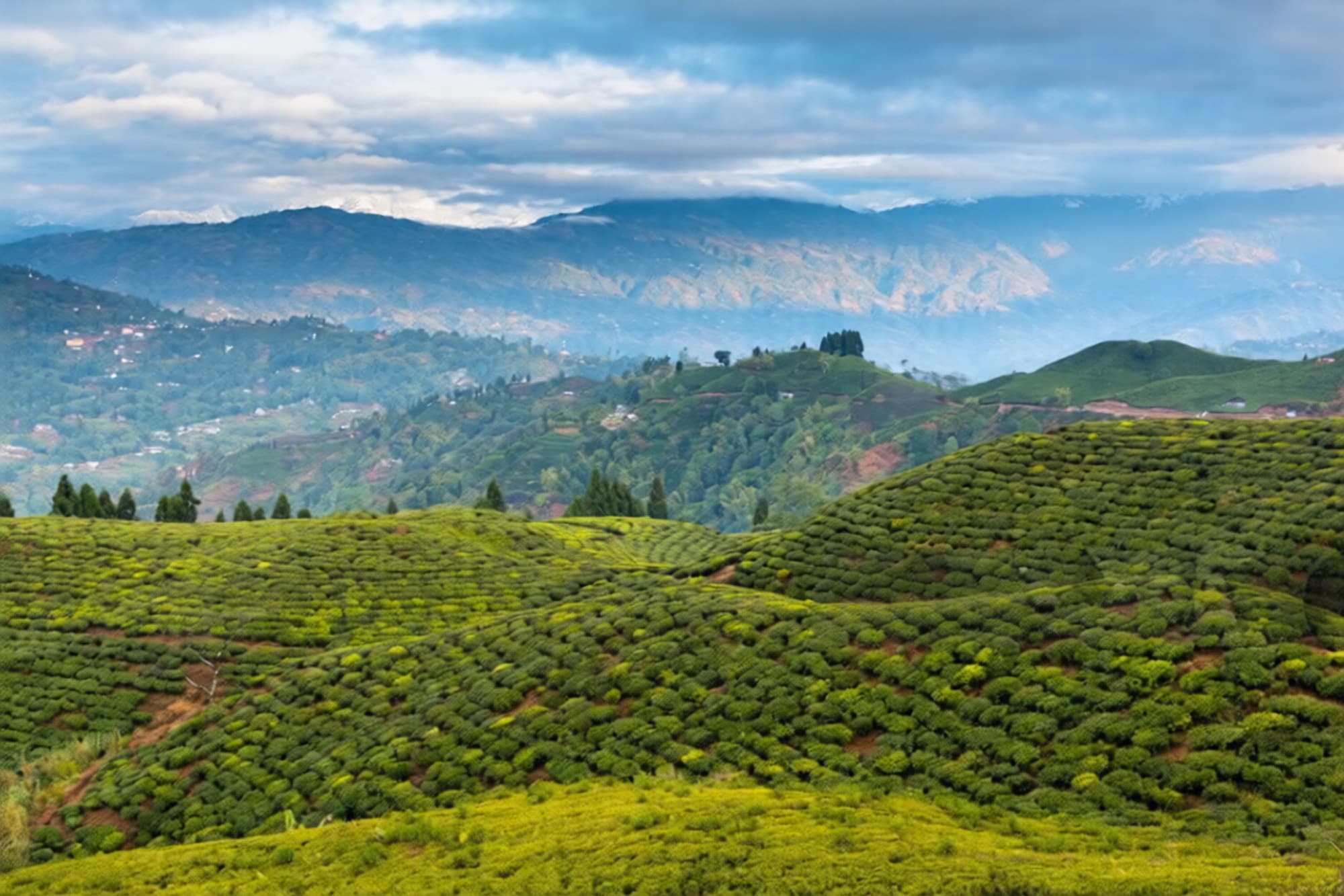 Darjeeling Tour - Travel experience in Saudi Arabia