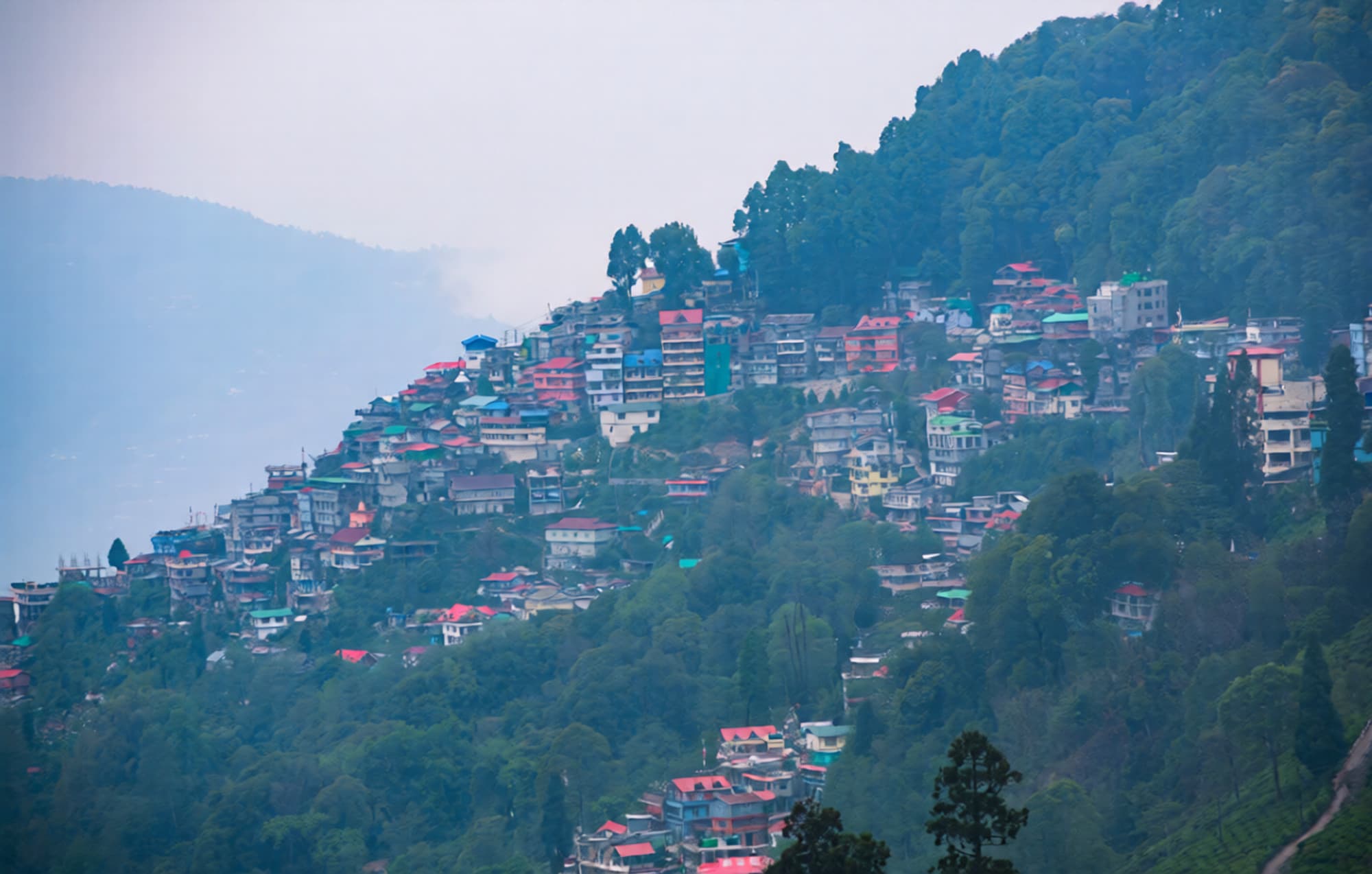 Darjeeling Tour - Travel experience in Saudi Arabia