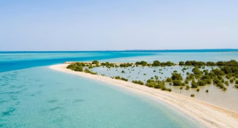 رحلة الى بني بشر - Travel experience in Saudi Arabia