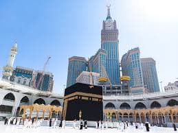 Nature Meeting - Travel experience in Saudi Arabia