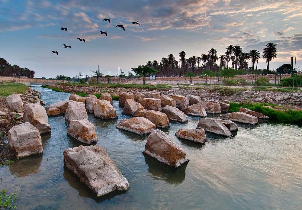 Riyadh: The Heart of Arabia Tour - Travel experience in Saudi Arabia