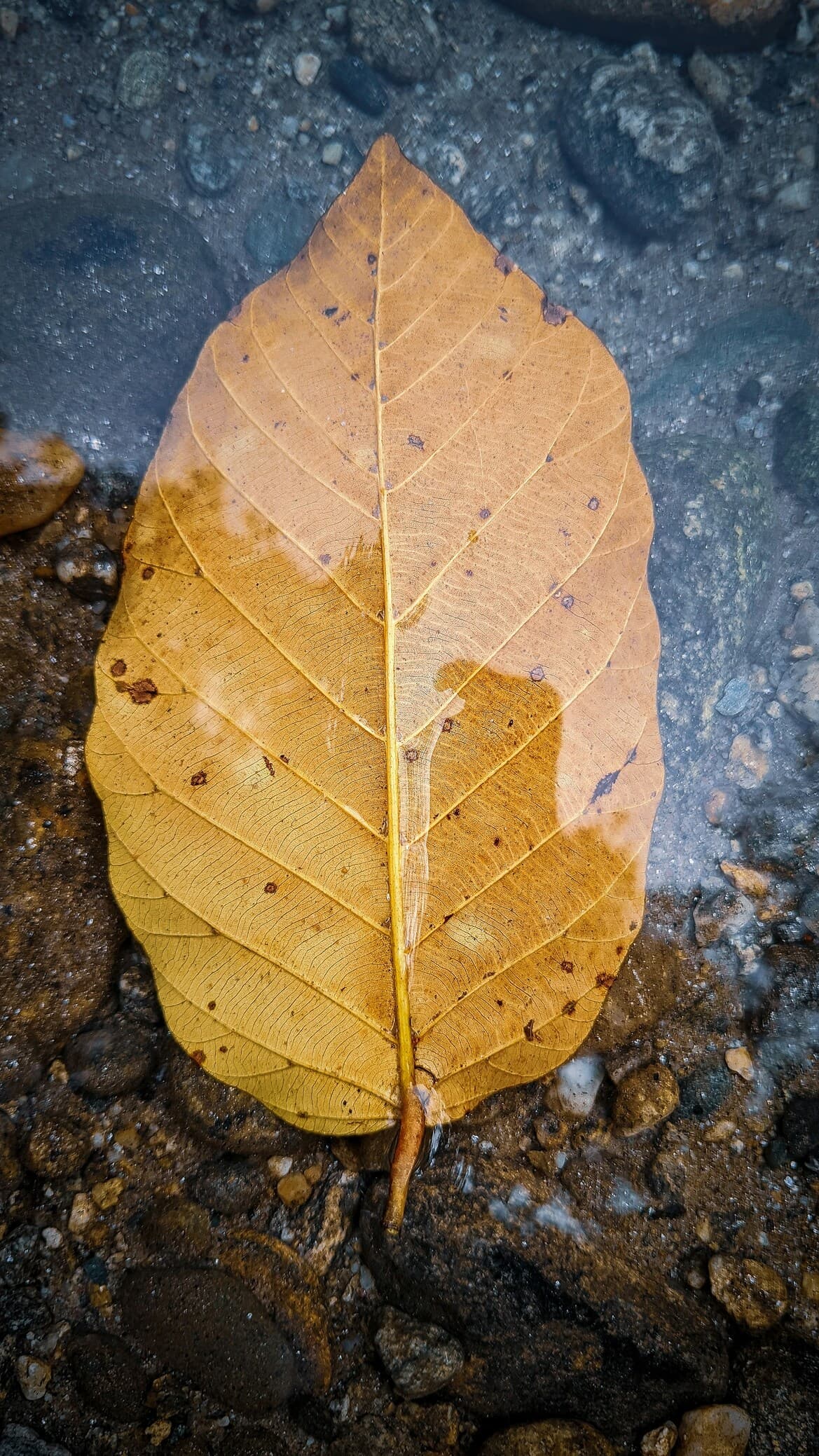 Abha Mountain Culture & Folk Arts - Travel experience in Saudi Arabia