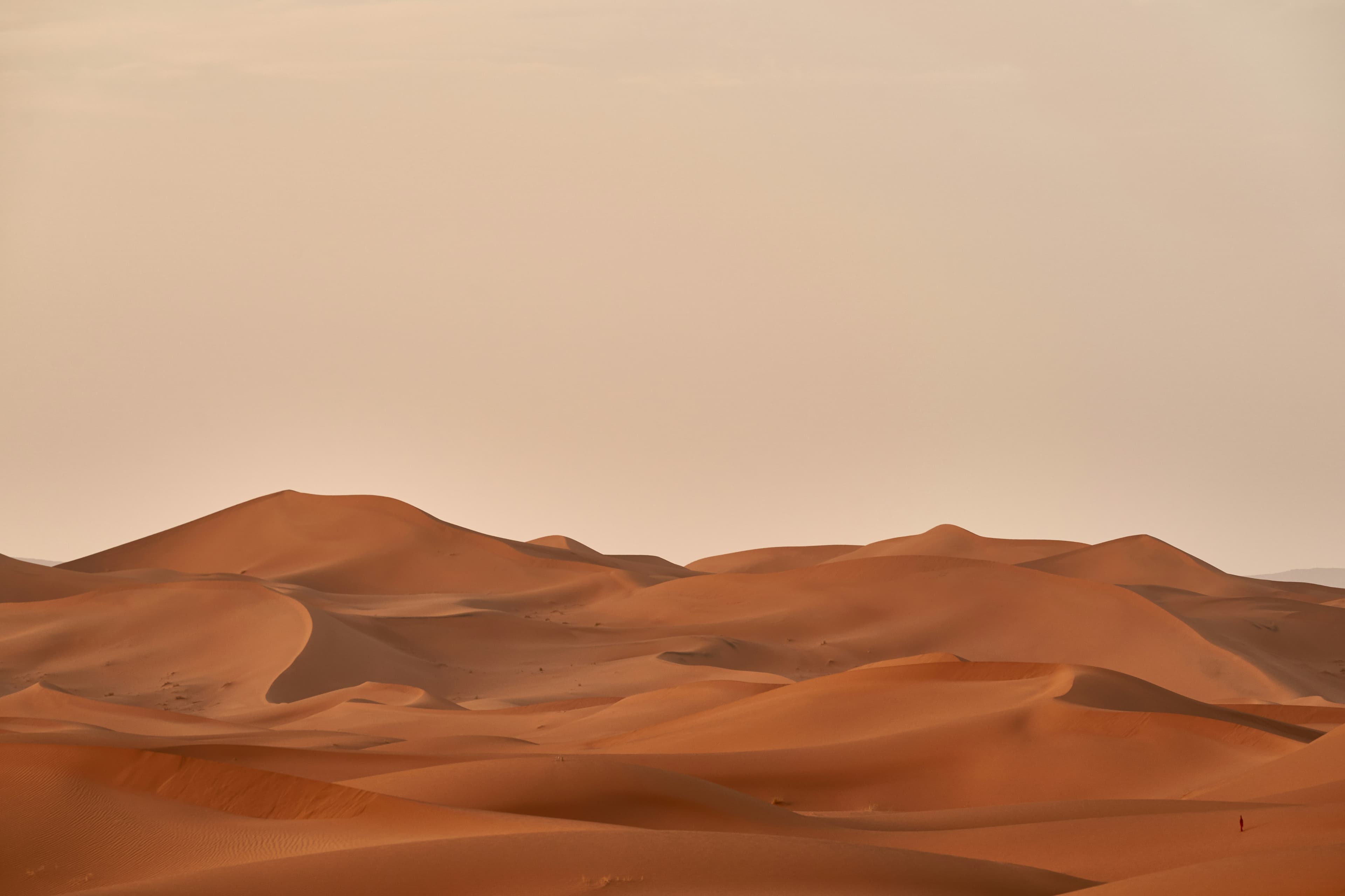 Perfect for relaxing with friends and family - Travel experience in Saudi Arabia