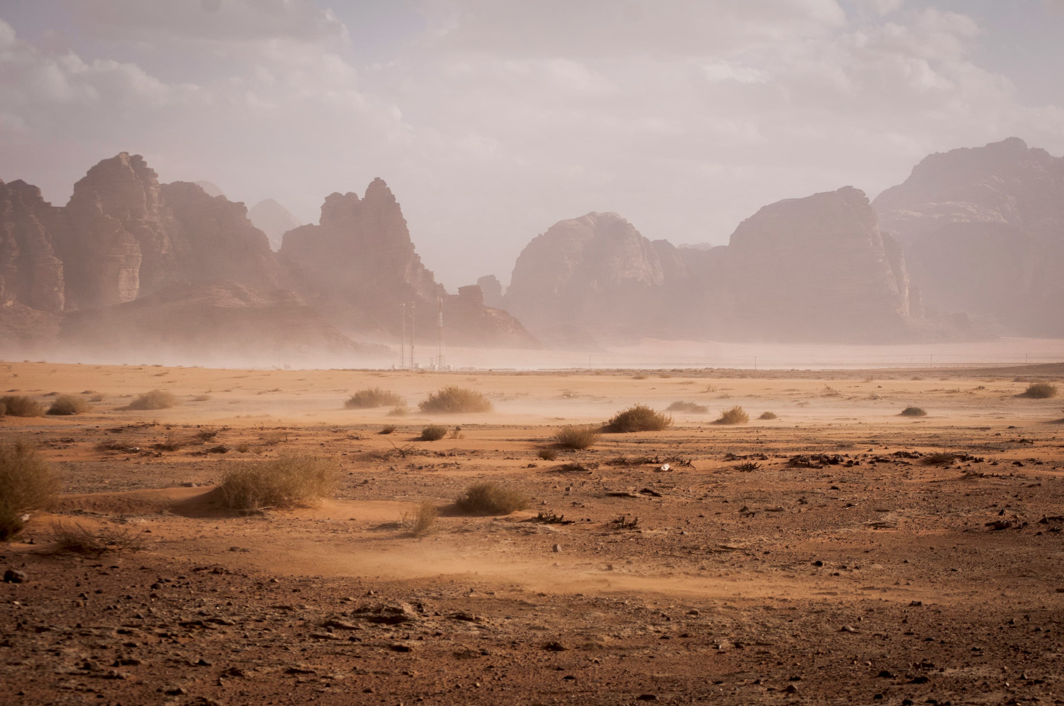Perfect for relaxing with friends and family - Travel experience in Saudi Arabia