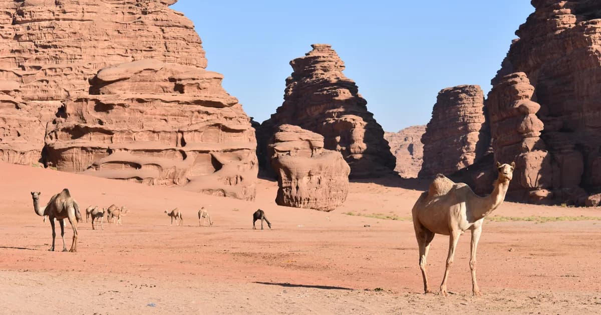 Package Title - Travel experience in Saudi Arabia