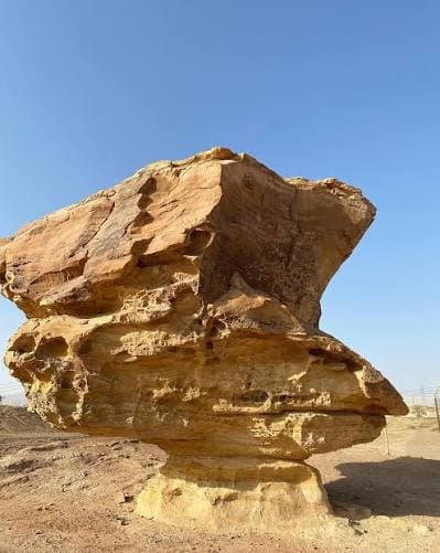 Premium Desert Camping & Dune Adventure - Travel experience in Saudi Arabia