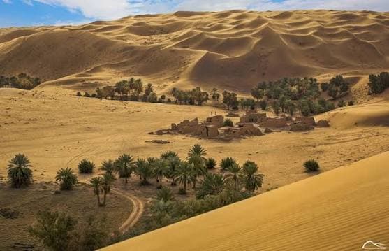 Premium Desert Camping & Dune Adventure - Travel experience in Saudi Arabia