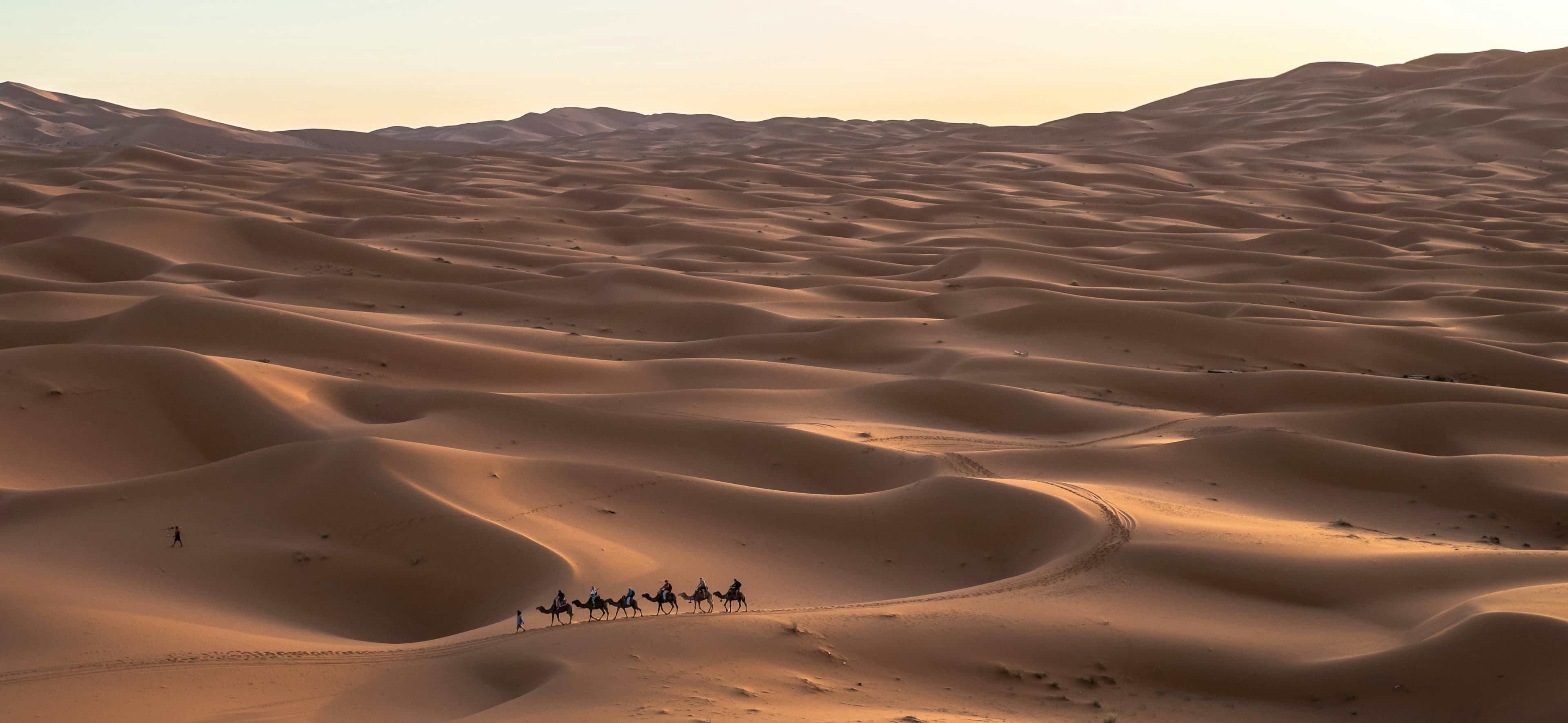 Modern District - Travel experience in Saudi Arabia