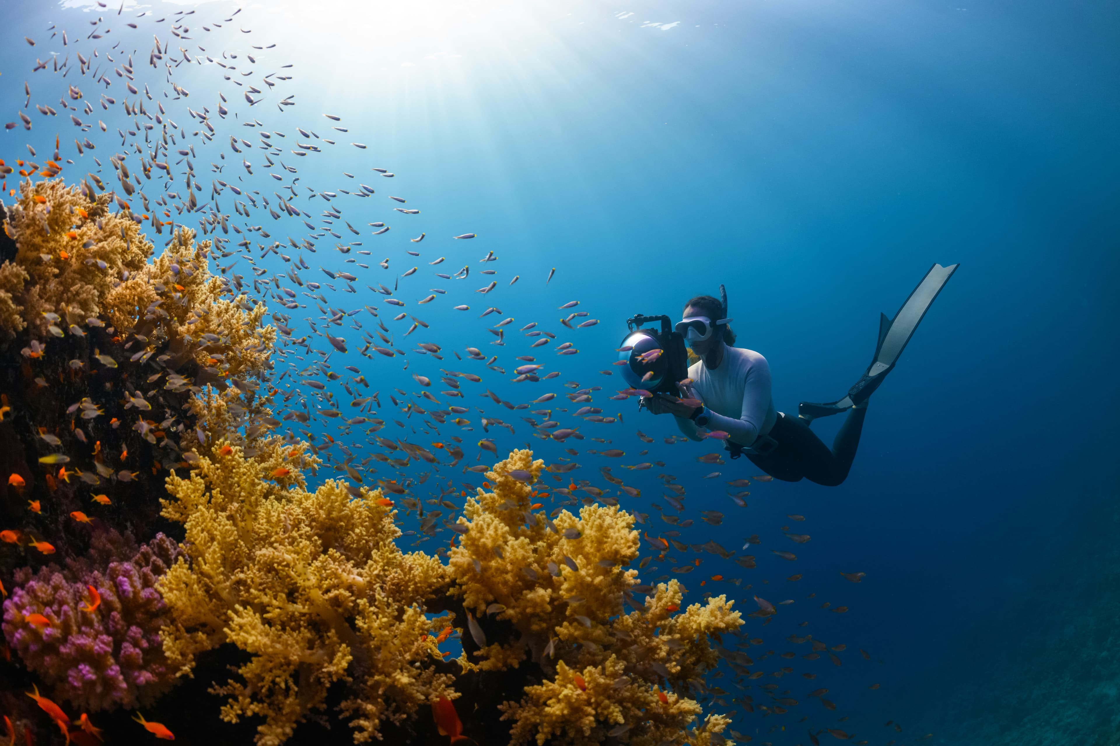 Red Sea breeze - Travel experience in Saudi Arabia